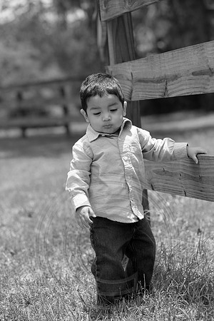 IMG_5441bw