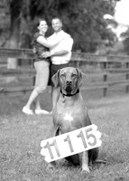 IMG_3057bw