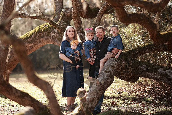 Family-29