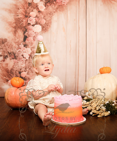 One year-0201