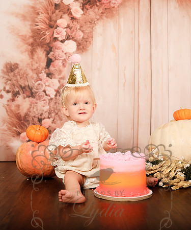 One year-0209