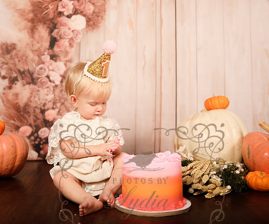 One year-0226