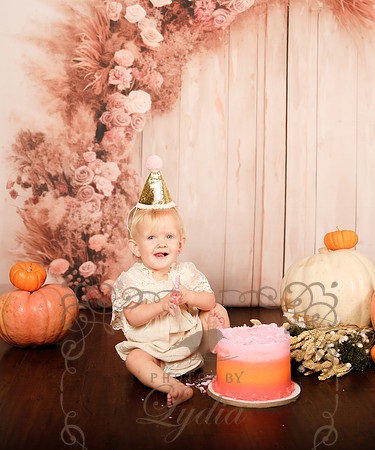 One year-0229