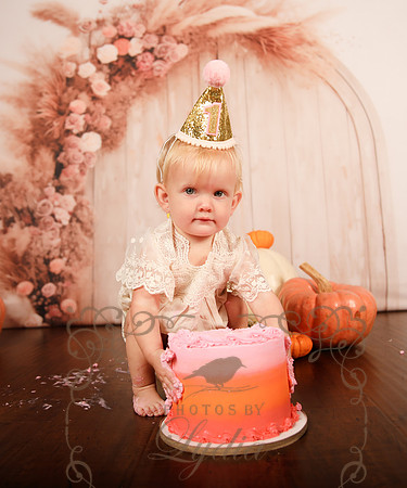 One year-0246