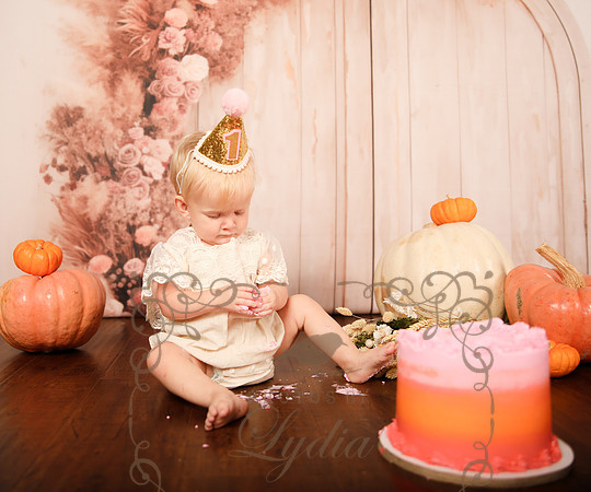 One year-0237