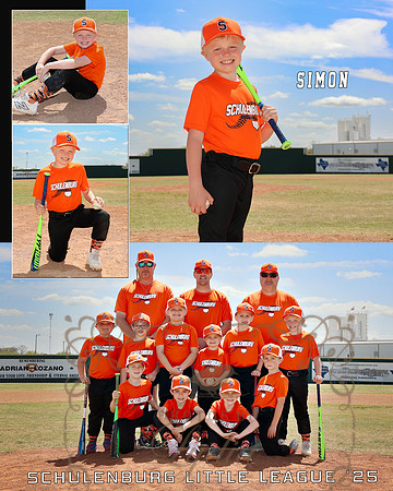 COLLAGE simon copy