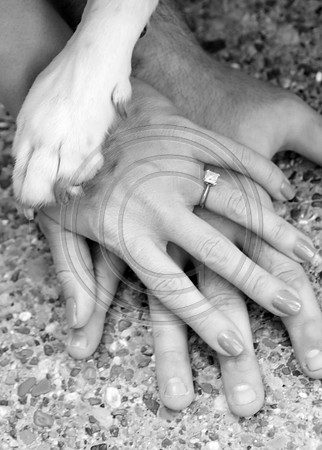 IMG_9729bw