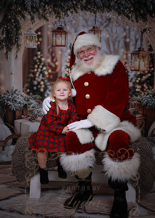 Santa-8972