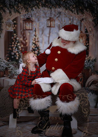 Santa-8980