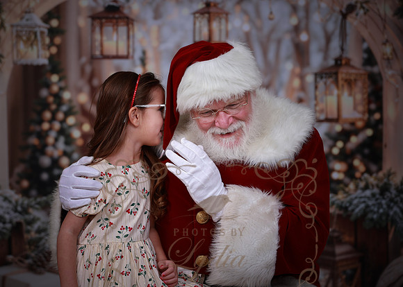Santa-8928