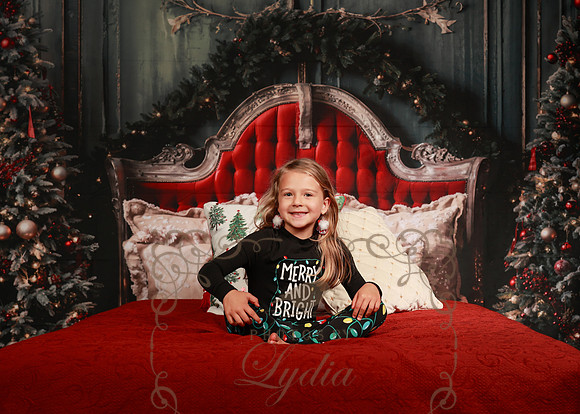 Christmas-6078