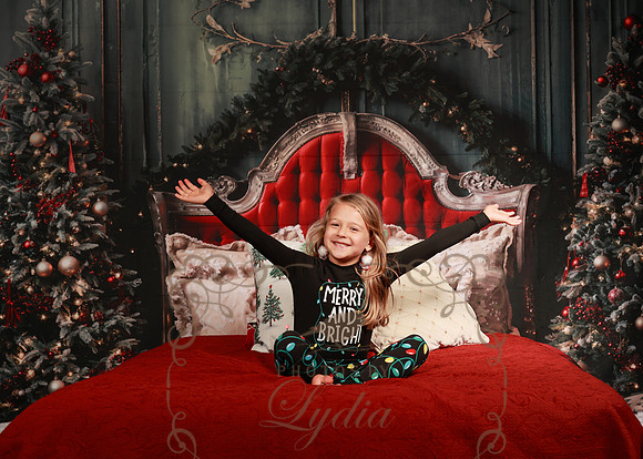 Christmas-6083
