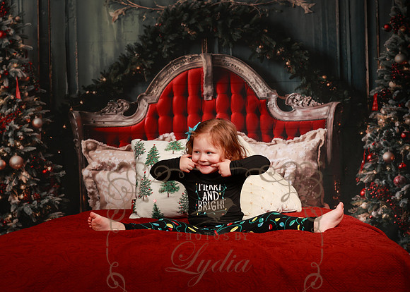 Christmas-6107