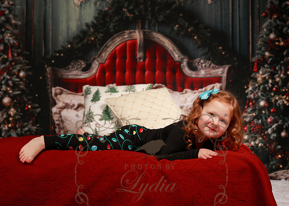 Christmas-6119