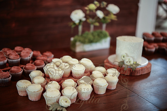 Cake & Toasts-0666