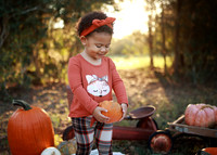 Kind Fall (2)