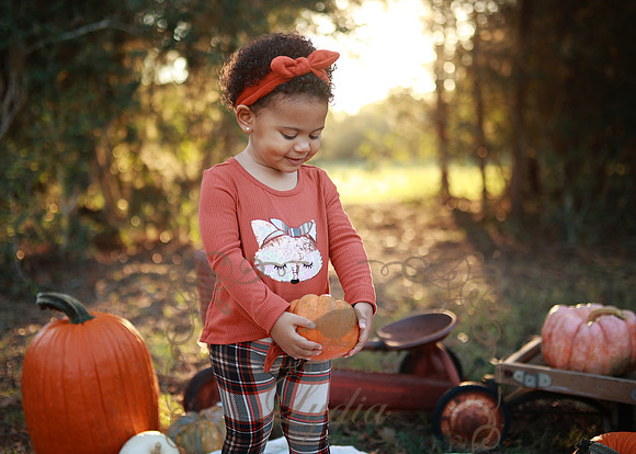 Kind Fall (2)