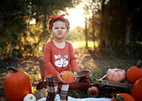 Kind Fall (4)
