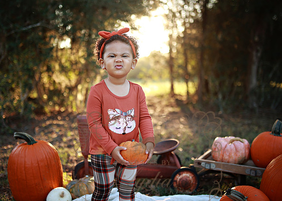Kind Fall (4)