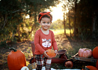 Kind Fall (3)