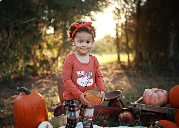 Kind Fall (3)