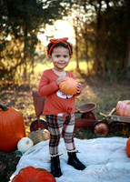 Kind Fall (1)