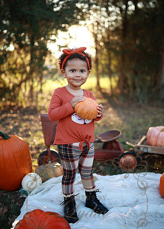 Kind Fall (1)