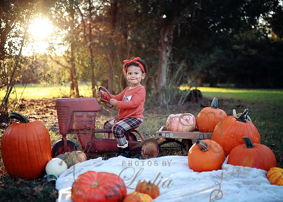 Kind Fall (6)