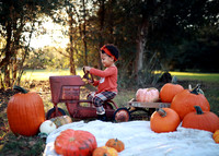 Kind Fall (7)