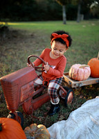 Kind Fall (8)
