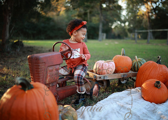 Kind Fall (9)
