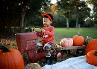 Kind Fall (11)