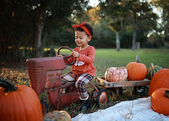 Kind Fall (11)