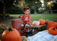 Kind Fall (10)