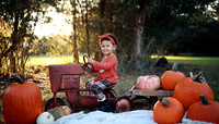 Kind Fall (12)