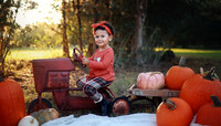 Kind Fall (13)