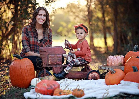 Kind Fall (15)