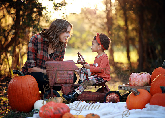 Kind Fall (16)