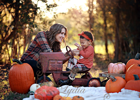 Kind Fall (17)
