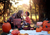 Kind Fall (18)
