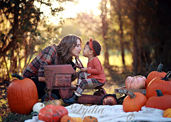 Kind Fall (18)