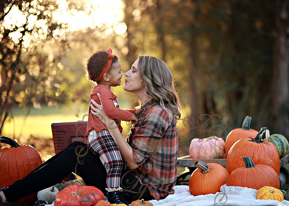 Kind Fall (20)