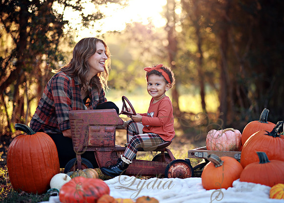 Kind Fall (19)