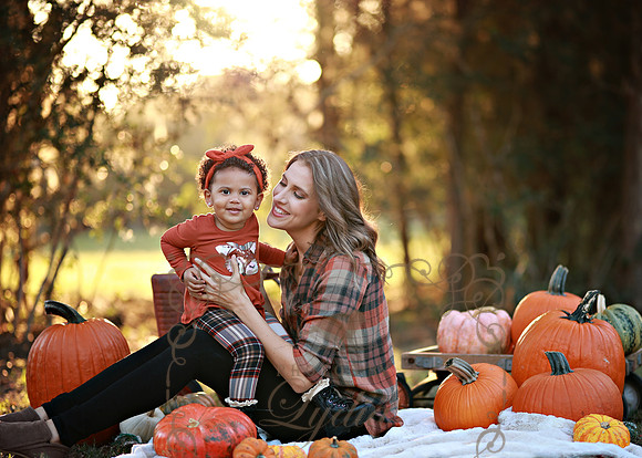 Kind Fall (23)