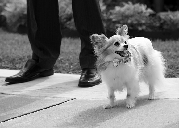IMG_0244bw