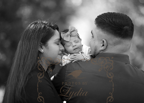 Trinity (38)