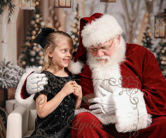 Santa-6713