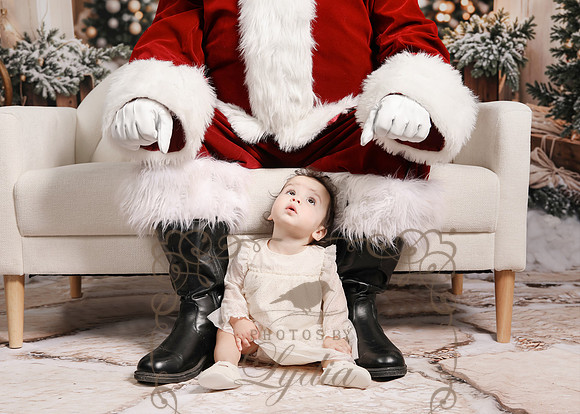 Santa-6888