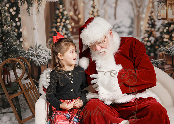 Santa-7290