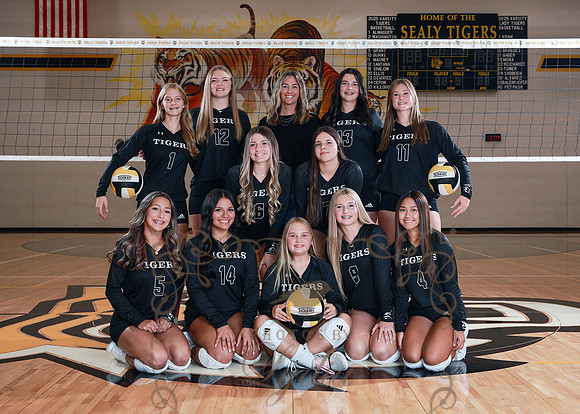 Vball-0490